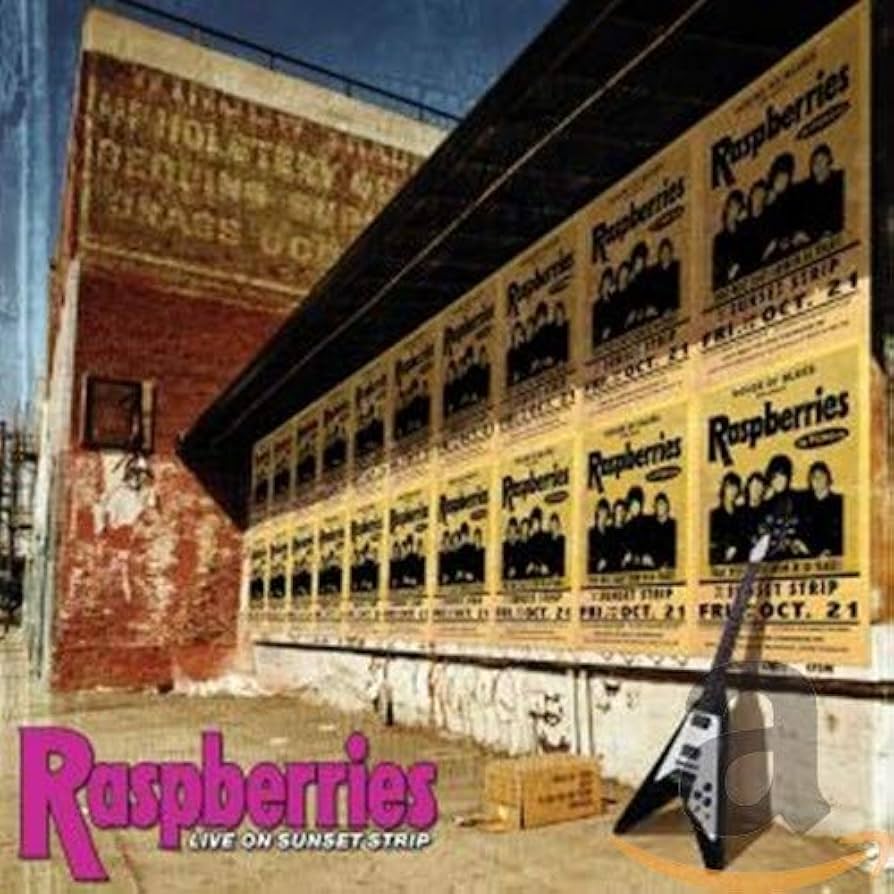 2CD＋DVD！RASBERRIES /LIVE ON SUNSET STRIP 51CTZ1+dBQL._UF894,1000_QL80_.jpg